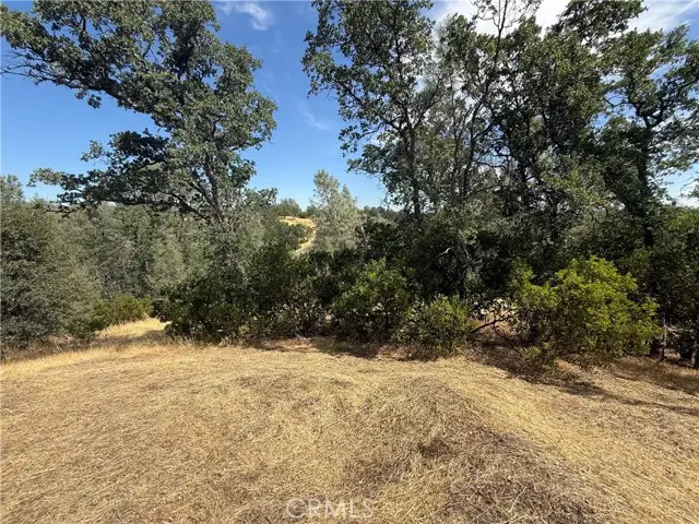 16318 Longhorn Lane, Corning, CA 96021 - #2