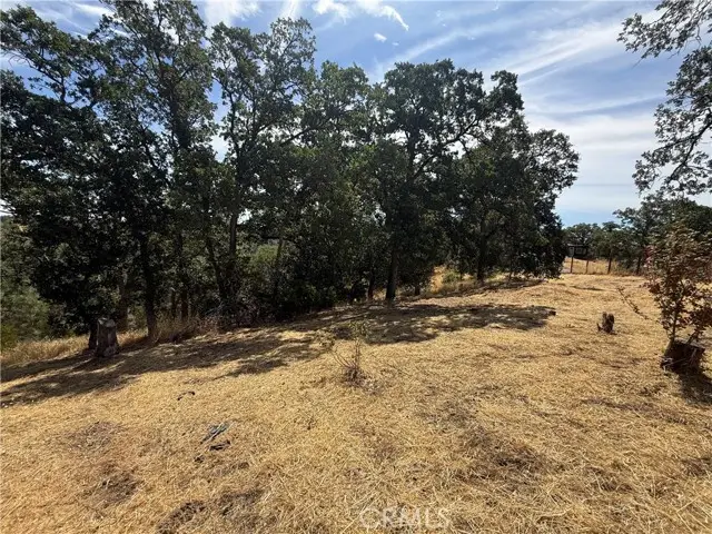 16318 Longhorn Lane, Corning, CA 96021 - #3