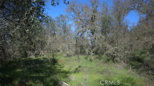 123 Rail Bridge Rd, Oroville, CA 95966 - #1
