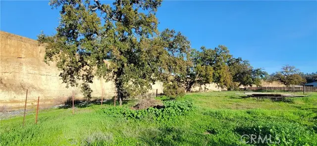 7571 Pebble Beach, Corning, CA 96021 - #1