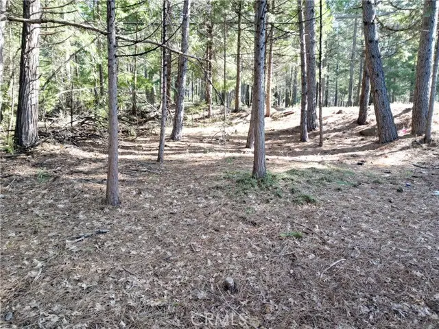 0 Skyway, Magalia, CA 95954 - #1