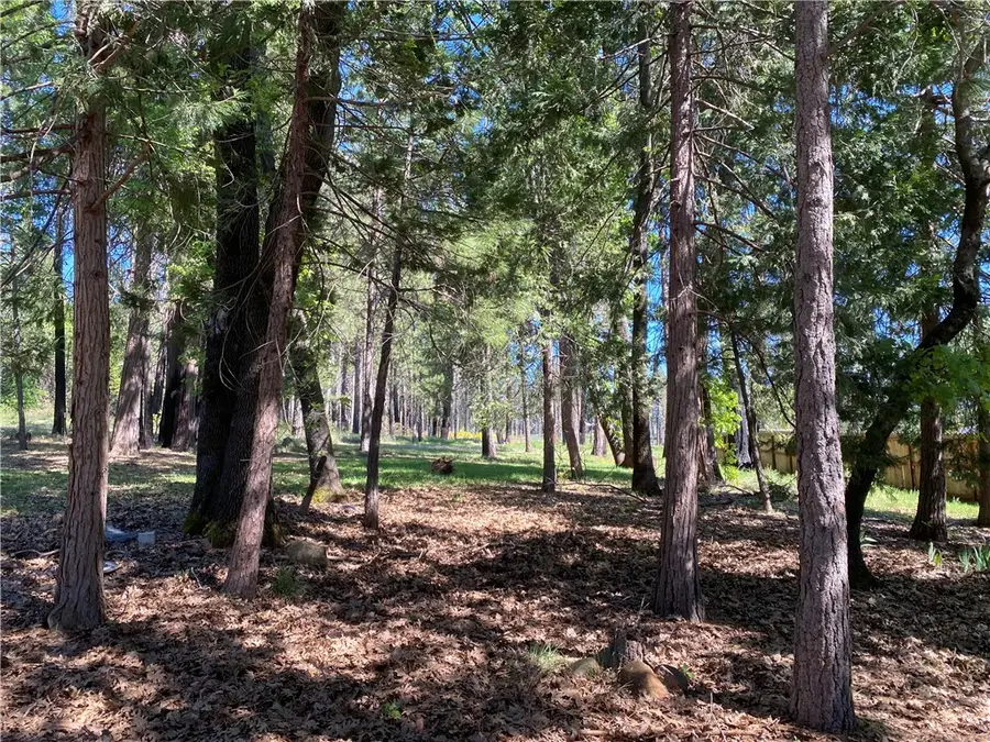 13790 Curtis Court, Magalia, CA 95954 - #2