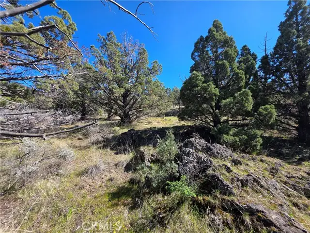 39 Blk 8 Lot 39 Katrina Dr Drive, Montague, CA 96064 - #2