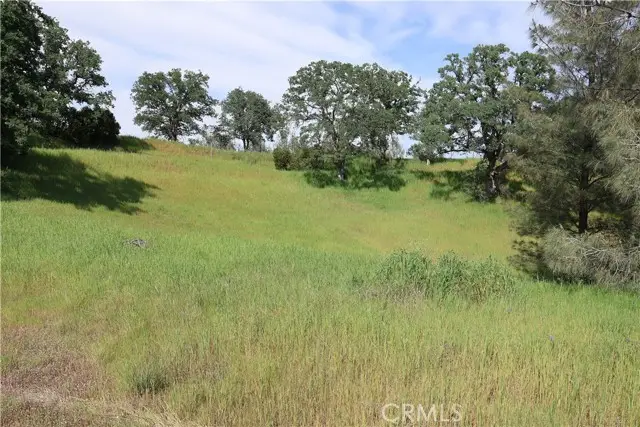 7325 Bluebird Rd., Corning, CA 96021 - #1