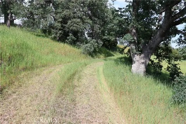 7325 Bluebird Rd., Corning, CA 96021 - #3