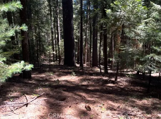 14887 Hickok Ct, Magalia, CA 95954 - #3