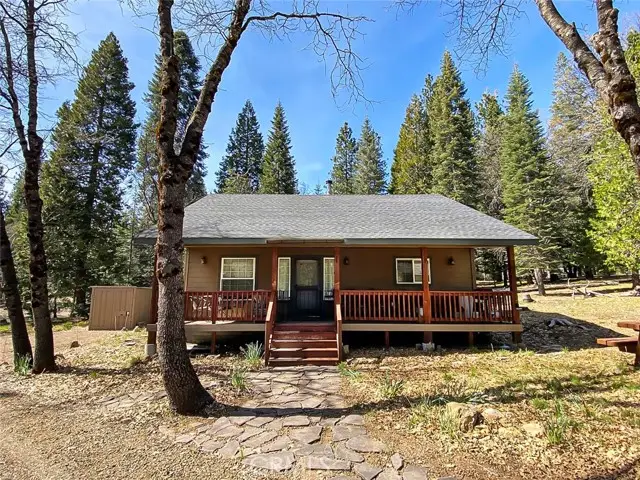 5340 Widow Springs Dr, McCloud, CA 96057 - #1