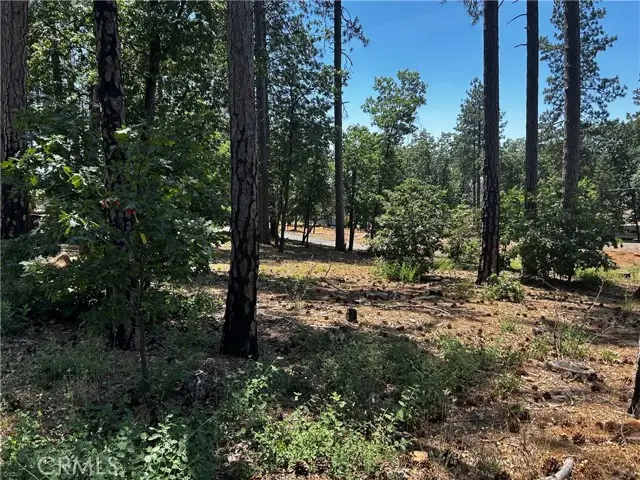 6272 Berkshire, Paradise, CA 95969 - #2