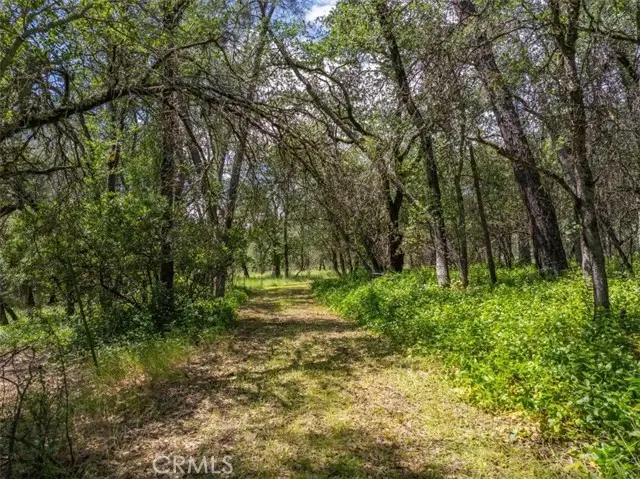 506 Black Canyon, Shasta Lake, CA 96019 - #2