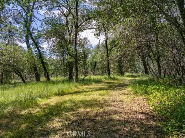 506 Black Canyon, Shasta Lake, CA 96019 - #3