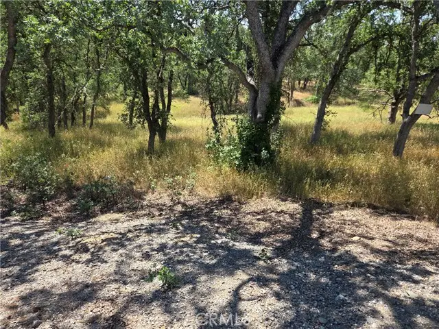 17087 LARAMIE, Corning, CA 96021 - #3