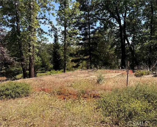 13457 Achilles Court, Magalia, CA 95954