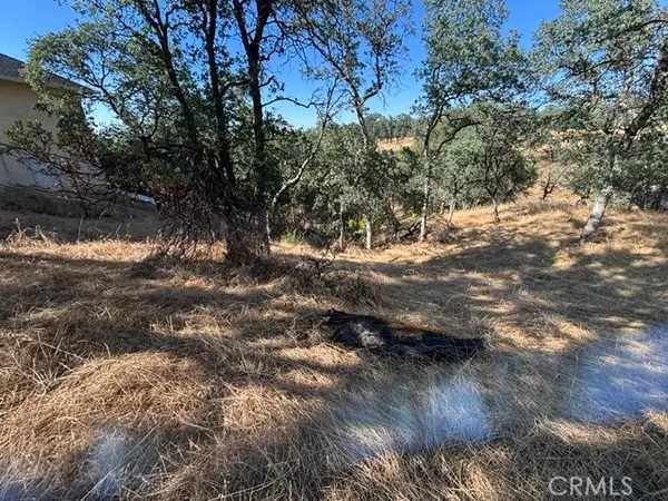 19932 Freshwater Drive, Cottonwood, CA 96022