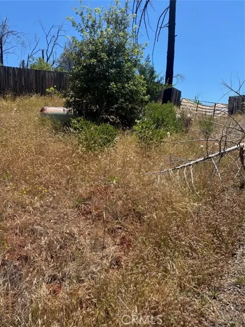 201 Pine Tree, Berry Creek, CA 95916 - #3