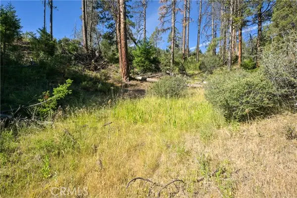 1 Duzel Creek Road, Fort Jones, CA 96032