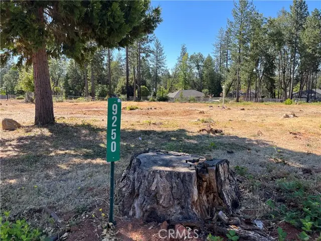 9250 Skyway Road, Paradise, CA 95969 - #1
