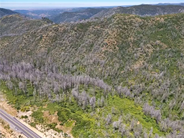 0 Stephens Ridge Road, Berry Creek, CA 95916 - #2
