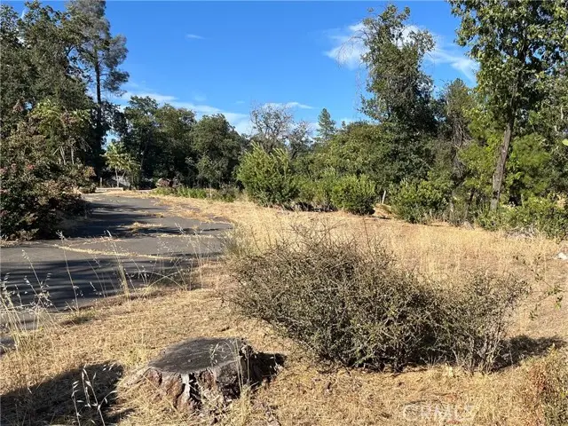145 Roe, Paradise, CA 95969 - #1