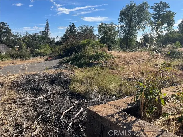 145 Roe, Paradise, CA 95969 - #2