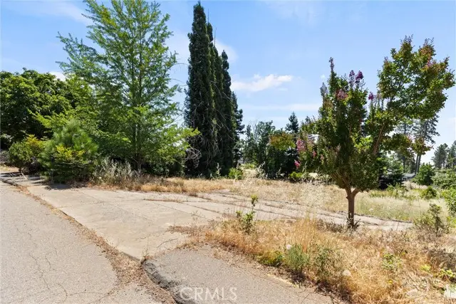 1382 Delia Way, Paradise, CA 95969 - #3
