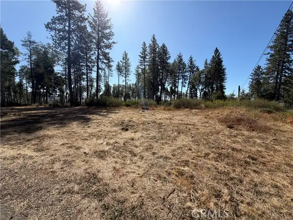 14318 Skyway, Magalia, CA 95954