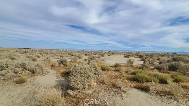 0 Buckhorn Ave & Killdeer (92nd), Rosamond, CA 93560 - #2