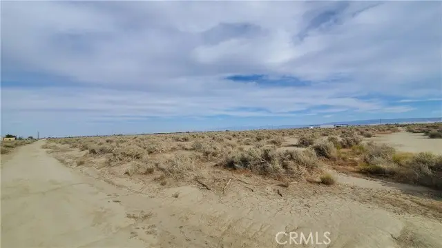 0 Buckhorn Ave & Killdeer (92nd), Rosamond, CA 93560 - #3