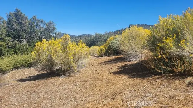 1806 Zermatt, Pine Mountain Club, CA 93222 - #1