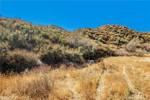 1 Warmuth, Canyon Country, CA 91387 - #3