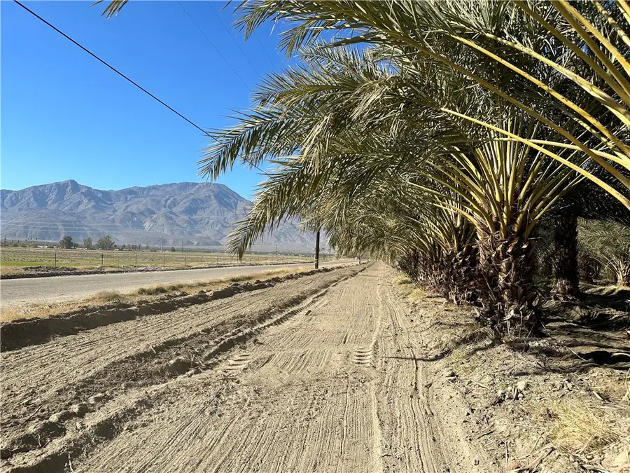 60504 Jackson Street, Thermal, CA 92274 - #2