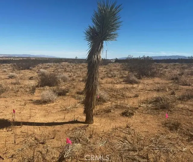 424 Ducor Avenue, Landers, CA 92285 - #2