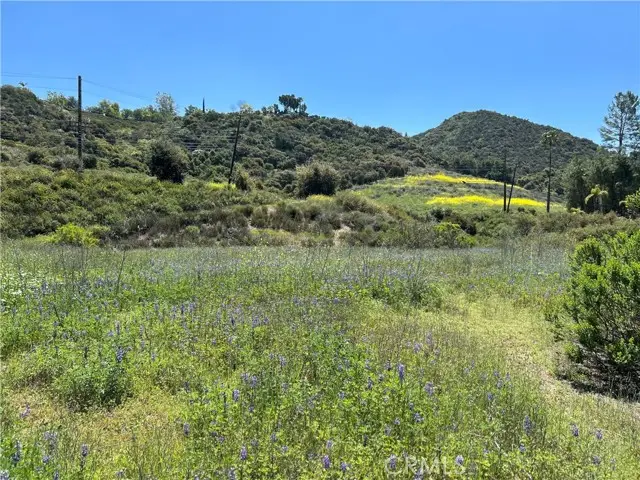 24201 Mulholland Highway, Calabasas, CA 91302 - #2