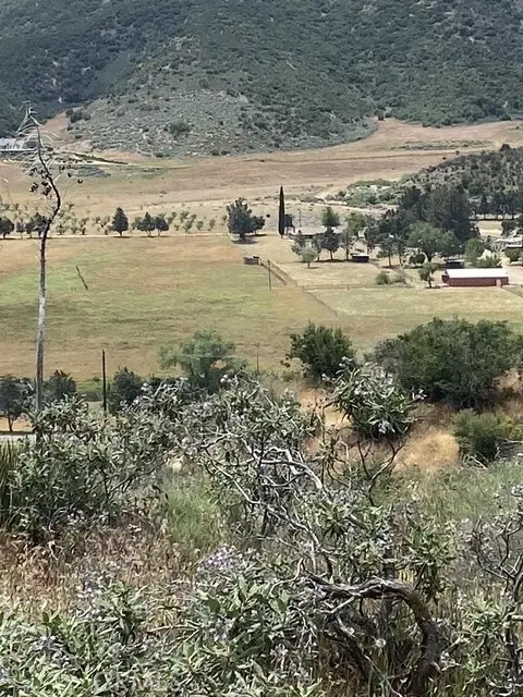 11039 Elizabeth Lake Road, Palmdale, CA 93551 - #3