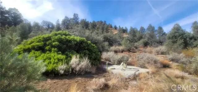 32897 Seymour Canyon Road, Frazier Park, CA 93225 - #2