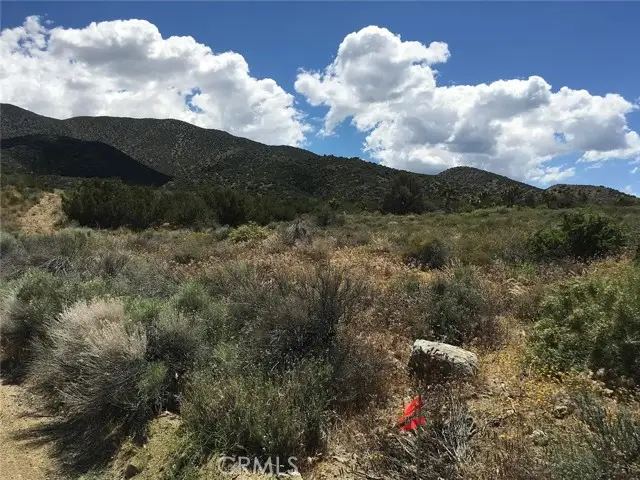 0 Tenterdon Street, Littlerock, CA 93543 - #3