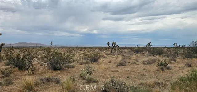 0 116th Street, California City, CA 93505 - #3