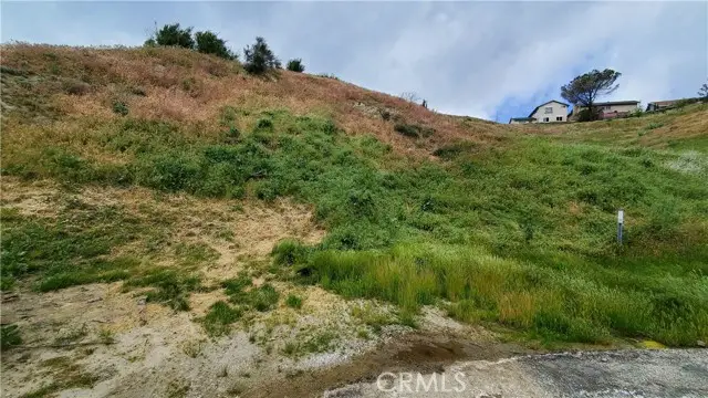 0 Cutwood Rd, Lake Hughes, CA 93532 - #3