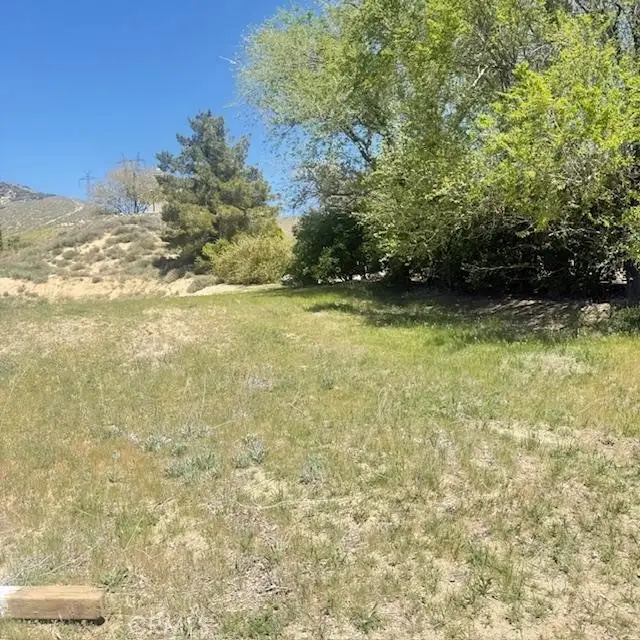 1 Johnson Road, Lake Hughes, CA 93532 - #3