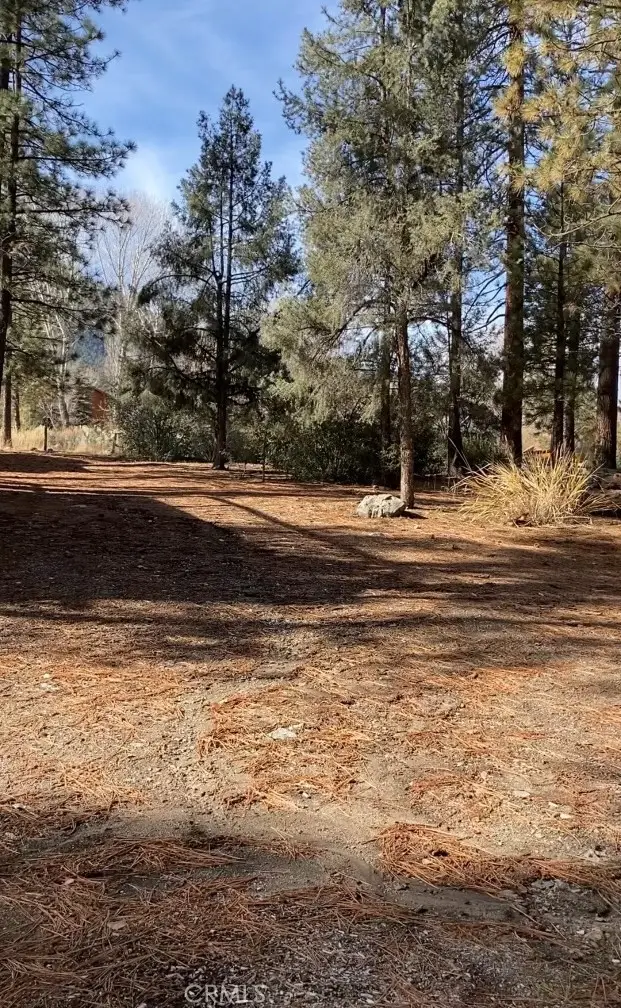 2613 Teakwood Court, Pine Mountain Club, CA 93222 - #3