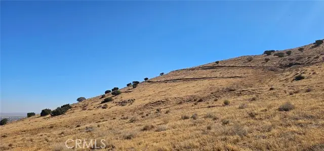 0 Oreo Lane, Acton, CA 93510 - #1