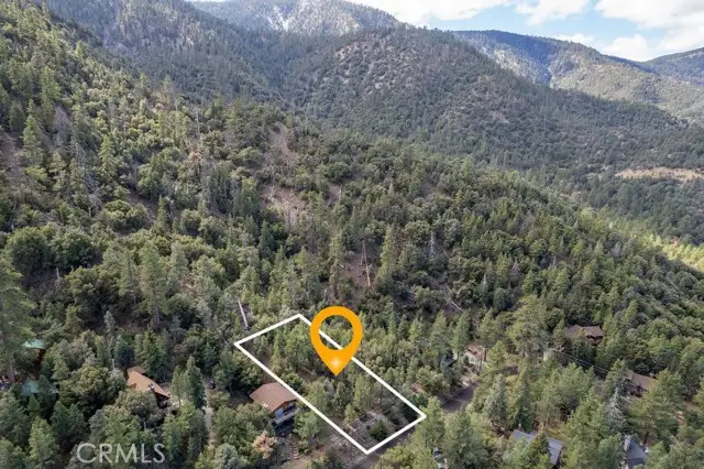 15028 Chestnut, Pine Mountain Club, CA 93222 - #3