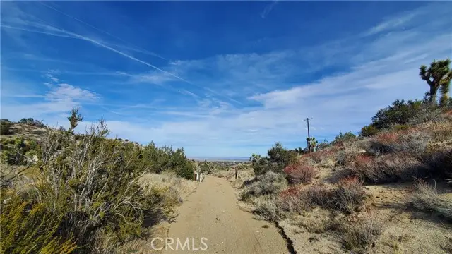 0 Vicinity Ross Road, Littlerock, CA 93543 - #2