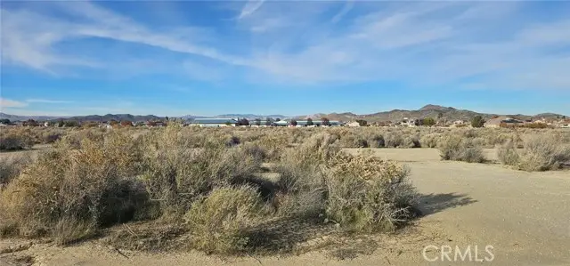 0 35th St W / Buckhorn, Rosamond, CA 93560 - #1