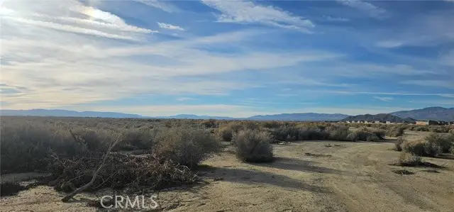 0 35th St W / Buckhorn, Rosamond, CA 93560 - #3