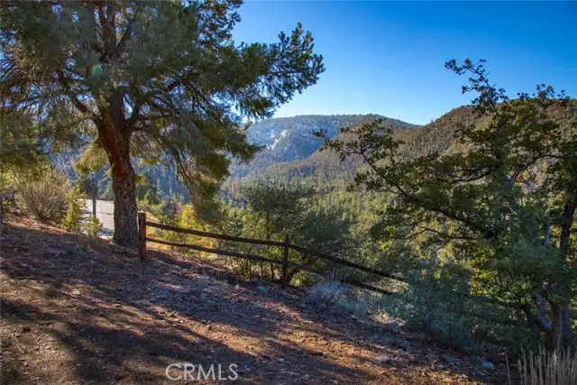 1824 Saint Anton Drive, Pine Mountain Club, CA 93222 - #3