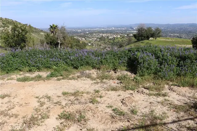 150 Dapplegray Road, Bell Canyon, CA 91307 - #2