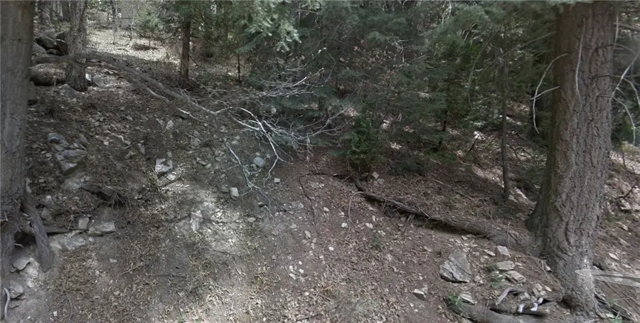 619 Sunderland Ct, Lake Arrowhead, CA 92352 - #2