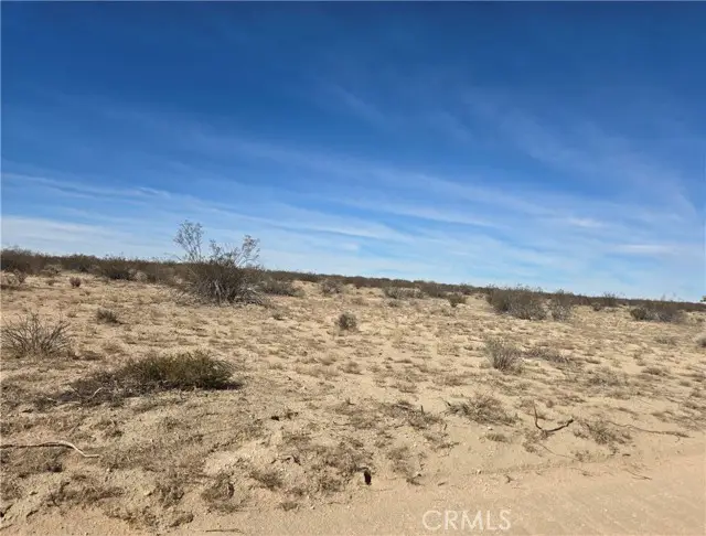 42924 250th, Lancaster, CA 93535 - #1