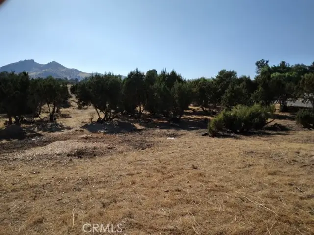 0 Agua Dulce Canyon, Santa Clarita, CA 91350 - Image #2