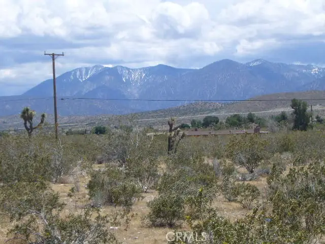 0 Vac/Pearblossom Hw/Vic Longvie, Pearblossom, CA 93553 - #3